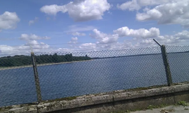 hanningfieldreservoir